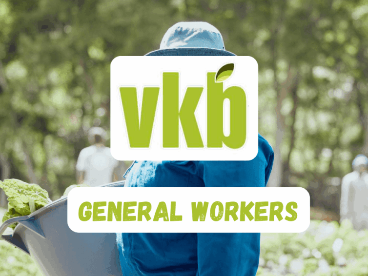 General Worker – VKB Milling, Louis Trichardt