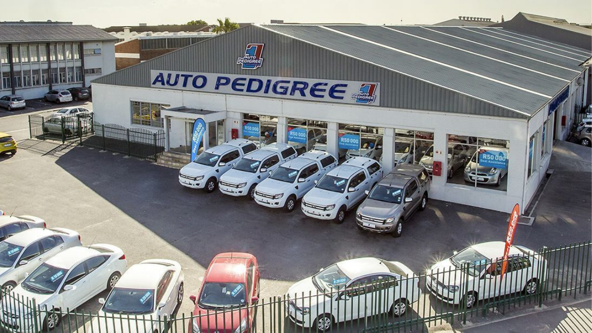 Powerful Career Opportunity: Sales Representative – Motus Corporation (Auto Pedigree), Middelburg. Sales Representative Used Vehicles Career Guide