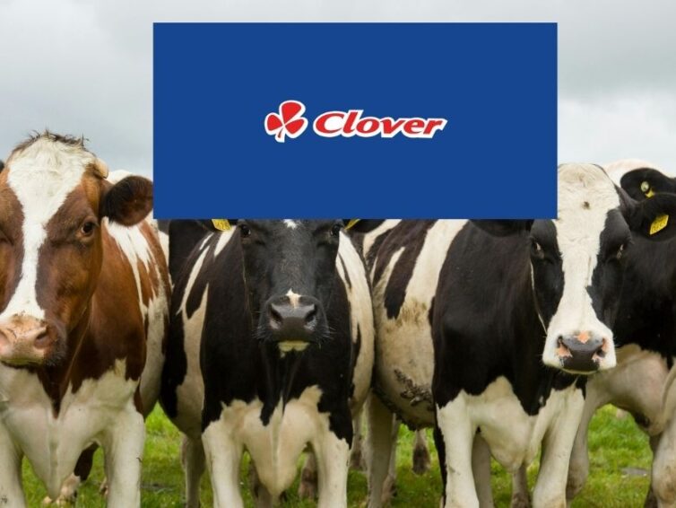 Clover Attendant (Production) – Powder Tower Factory, Queensburgh