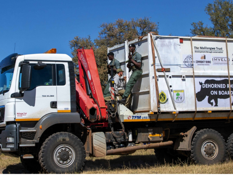 Rhino Bull Transport Careers and Logistics Jobs