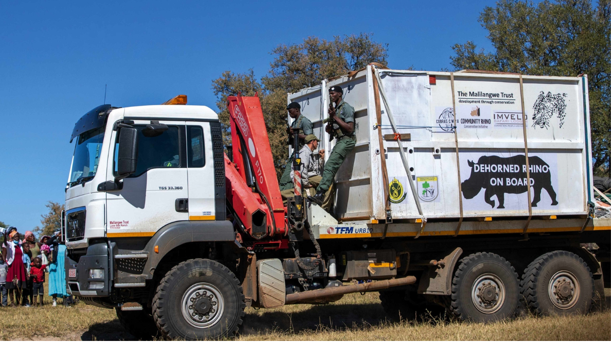 Rhino Bull Transport Careers and Logistics Jobs