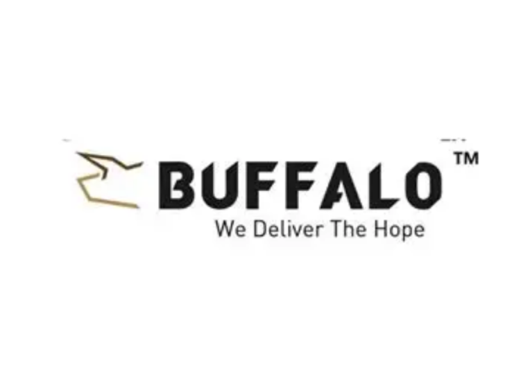 Buffaloex Jobs South Africa Logistics Careers