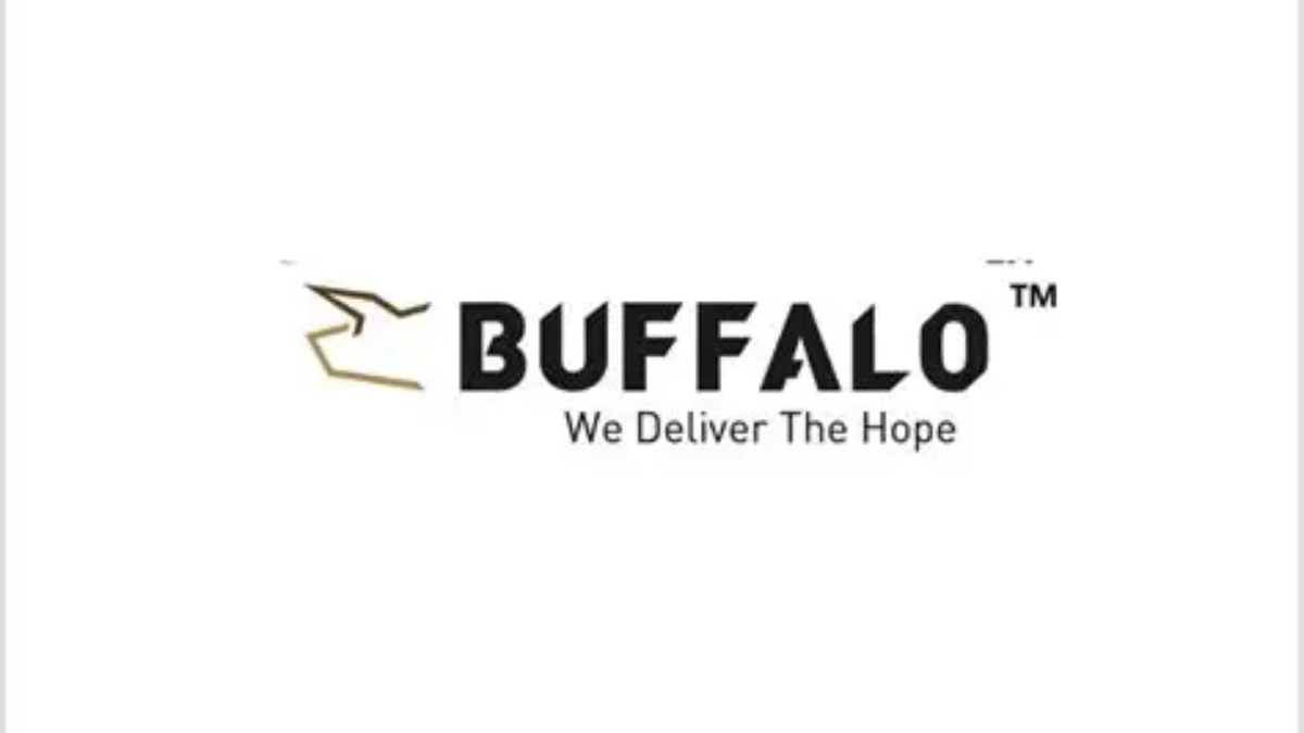 Buffaloex Jobs South Africa Logistics Careers